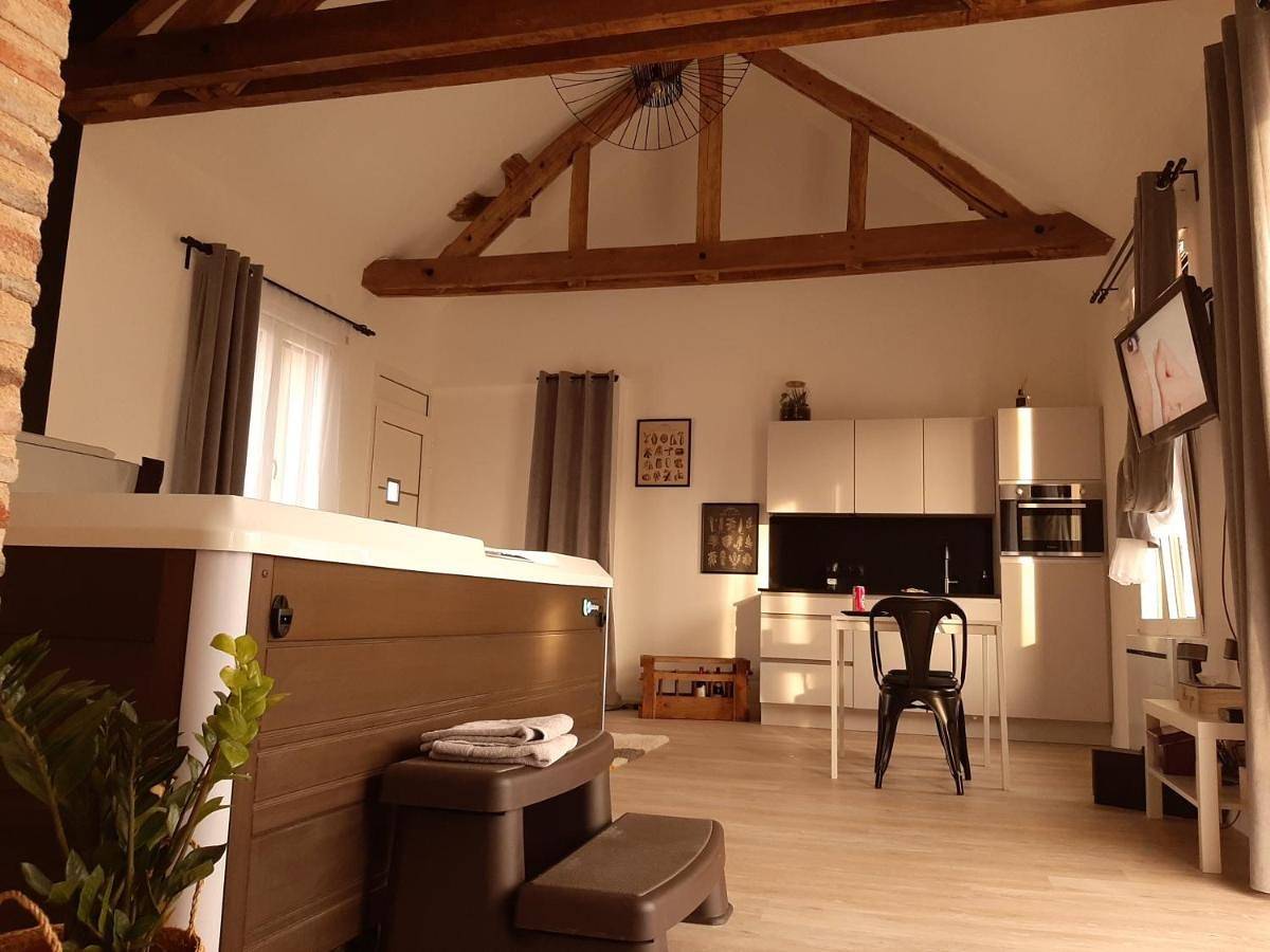 Eaudyssée maison avec Spa privée - Loiret in Ladon, Région de Montargis