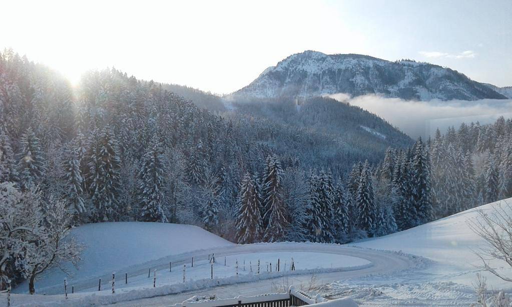 Familienbauernhof Glockriegl - Sonnige Ferienwohnung 1 in Lunz am See, Mostviertel Region