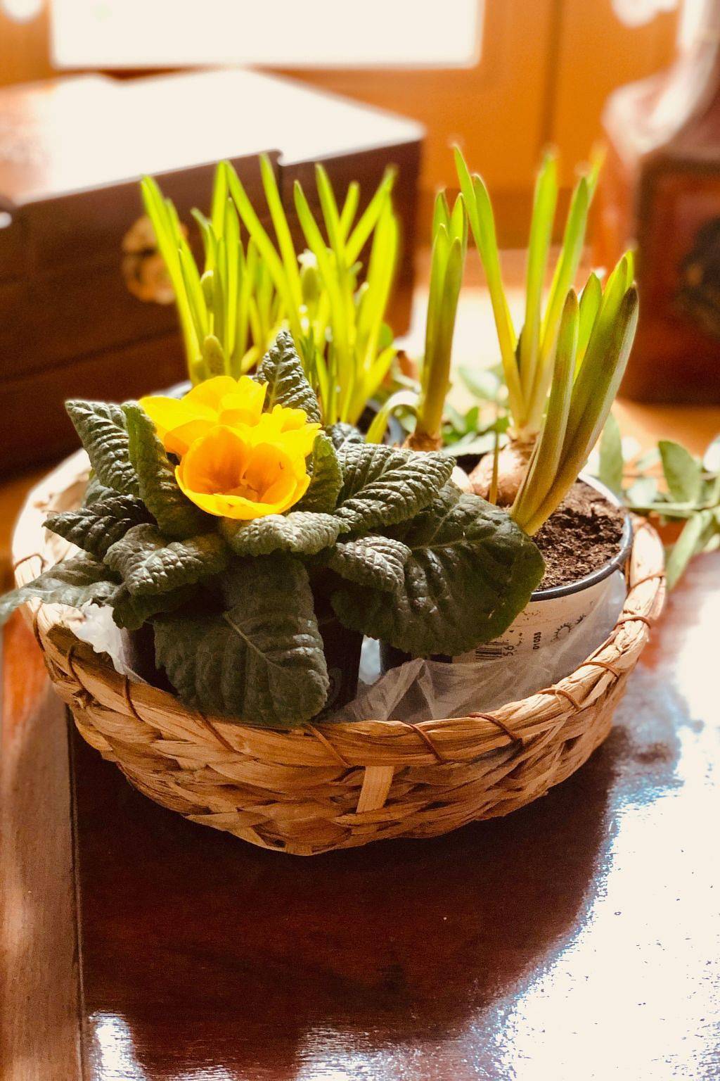 Ganze Ferienwohnung, Neiße-Gästezimmer im Altstadthaus in Görlitz, Oberlausitz-Niederschlesien