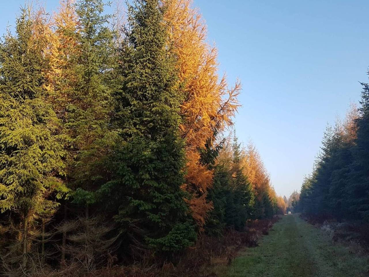 4 Personen Ferienhaus in Skærbæk in Skærbæk, Tondern und Umgebung