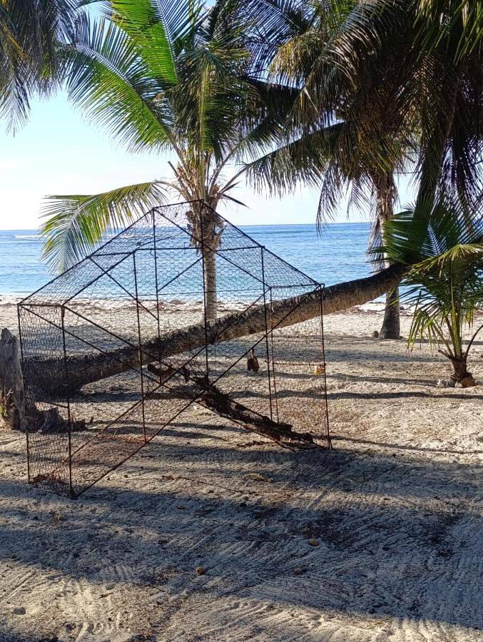 Gîte pour 2 personnes, avec jardin et vue à La Désirade (île) - 3
