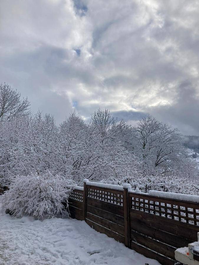 Chalet pour 4 personnes, avec terrasse et vue, animaux acceptés à Basse-sur-le-Rupt - 3