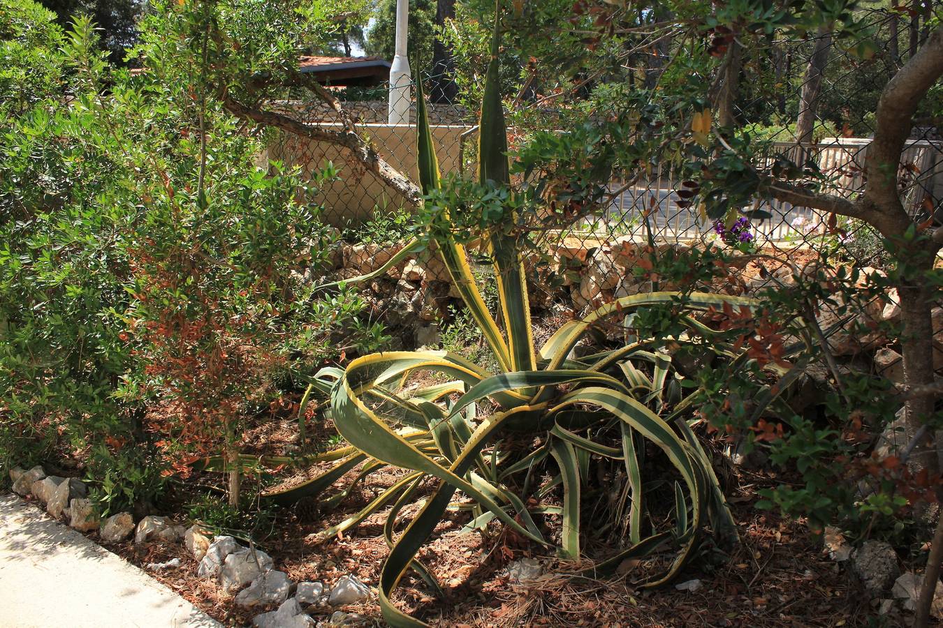 Dwupokojowy dom z tarasem Artatore, Losinj K-7937 in Mali Lošinj, Aratore