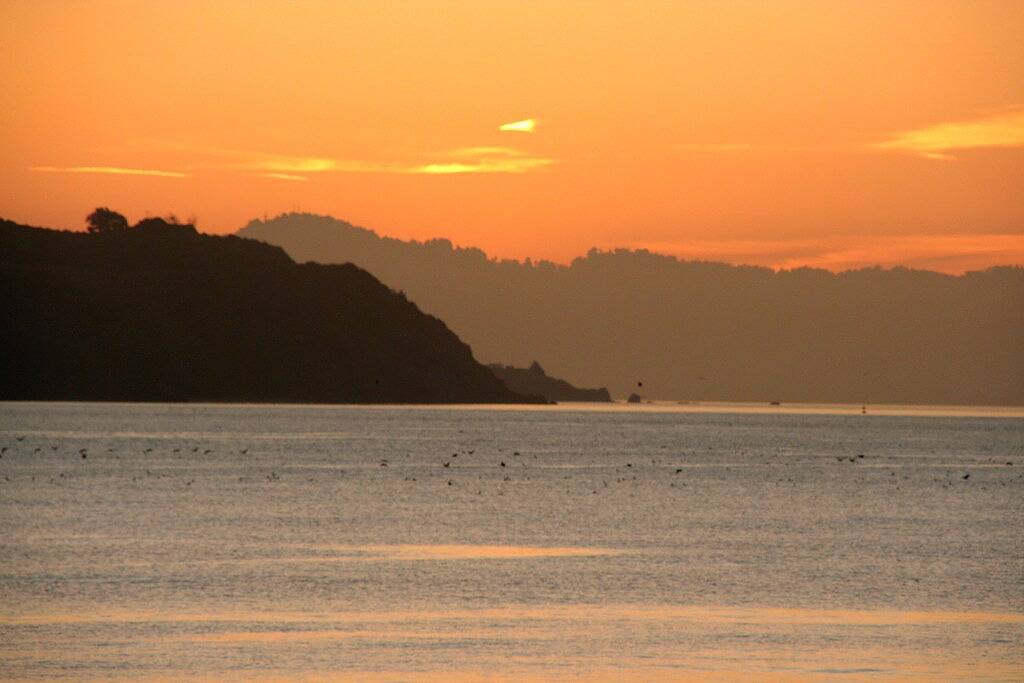 Ganze Wohnung, Sexy Liebesnest - Spektakuläre Aussicht auf die Bucht - Swanky Sausalito in Sausalito, Mount Tamalpais