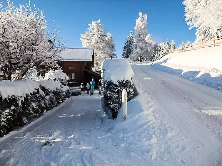 Chalet 8 Personnes in Gryon, Alpes Vaudoises