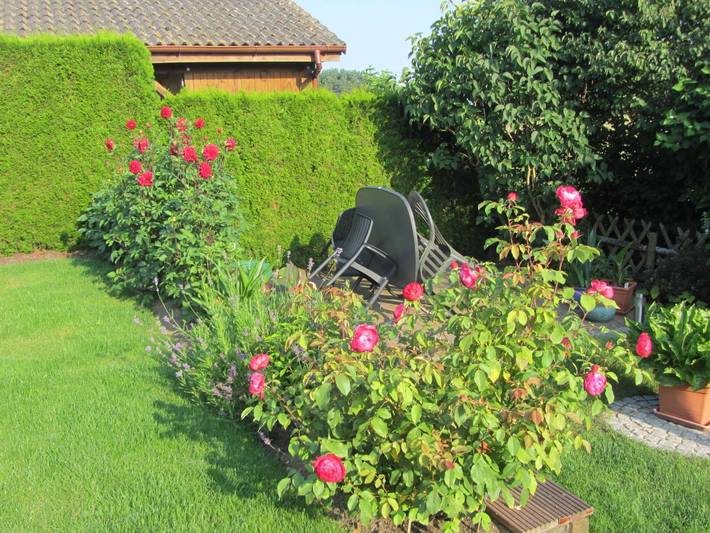 Ferienwohnung für 2 Personen, mit Garten in Neustrelitz - 3