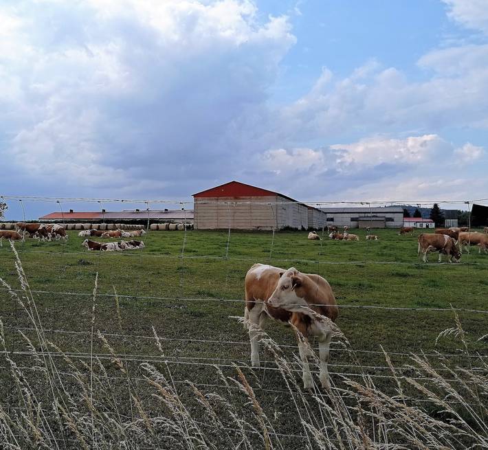 Ferienwohnung für 4 Personen, mit Garten in Südharz