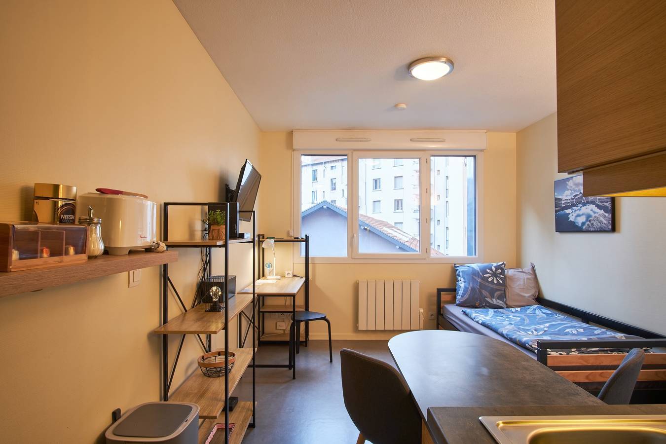 Studio entier, Appartement 'Studio Grenoble' avec vue sur les montagnes et Wi-Fi. in Grenoble, Isère