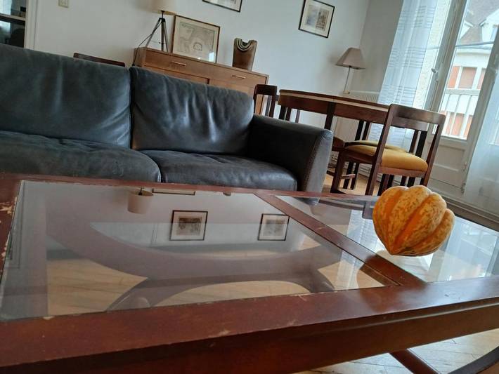 Gîte pour 4 personnes, avec jardin et vue, animaux acceptés à Gien - 3