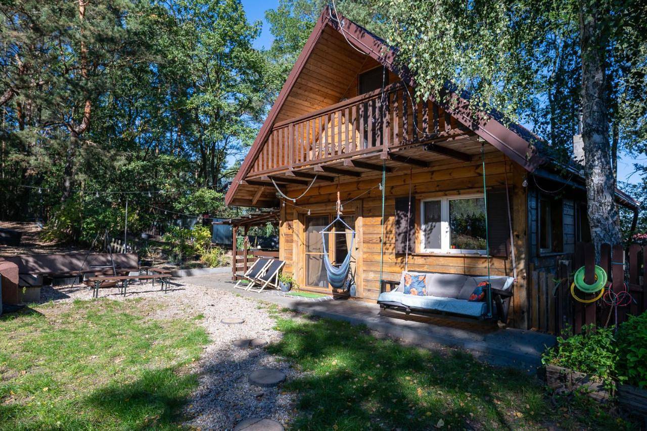 Dream Forest Cabin -dom w lesie pod Warszawą in Mazowsze