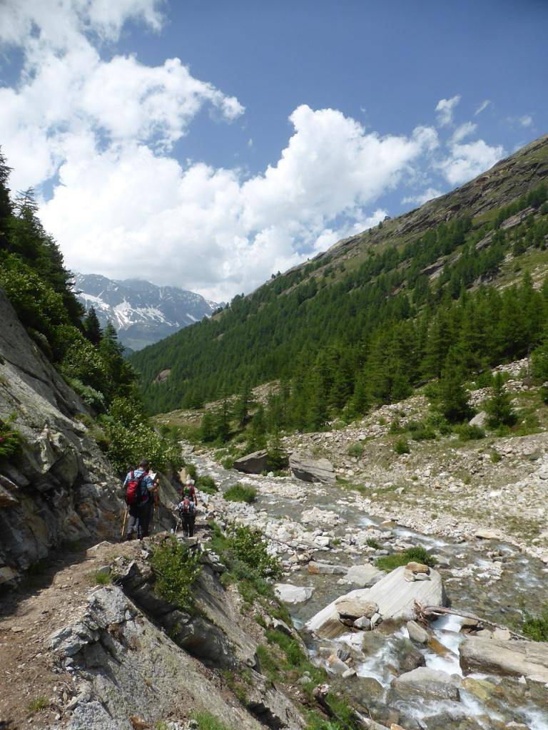 Ganze Ferienwohnung, 4-Bettwohnung Nr. 4 in Saas-Almagell, Walliser Alpen