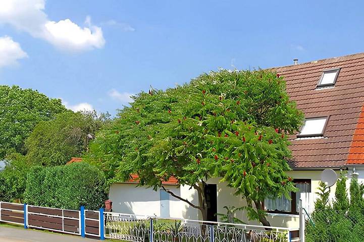 Ferienwohnung für 4 Personen, mit Garten - 1