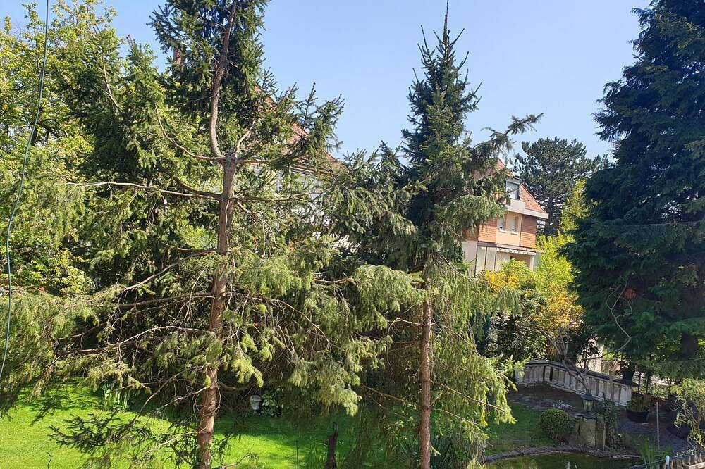 Ganze Wohnung, Relax City Apparment in Kehl, Mittlerer Schwarzwald