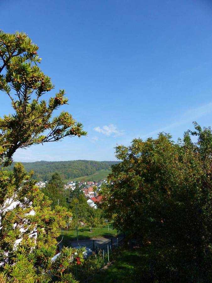 Ferienwohnung für 3 Personen, mit Whirlpool und Terrasse sowie Garten und Pool in Oberotterbach - 2