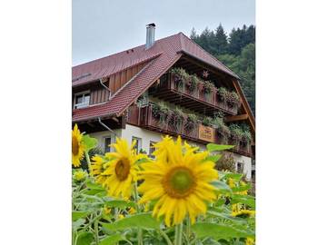 Bauernhaus für 6 Personen, mit Garten in Nationalpark Schwarzwald