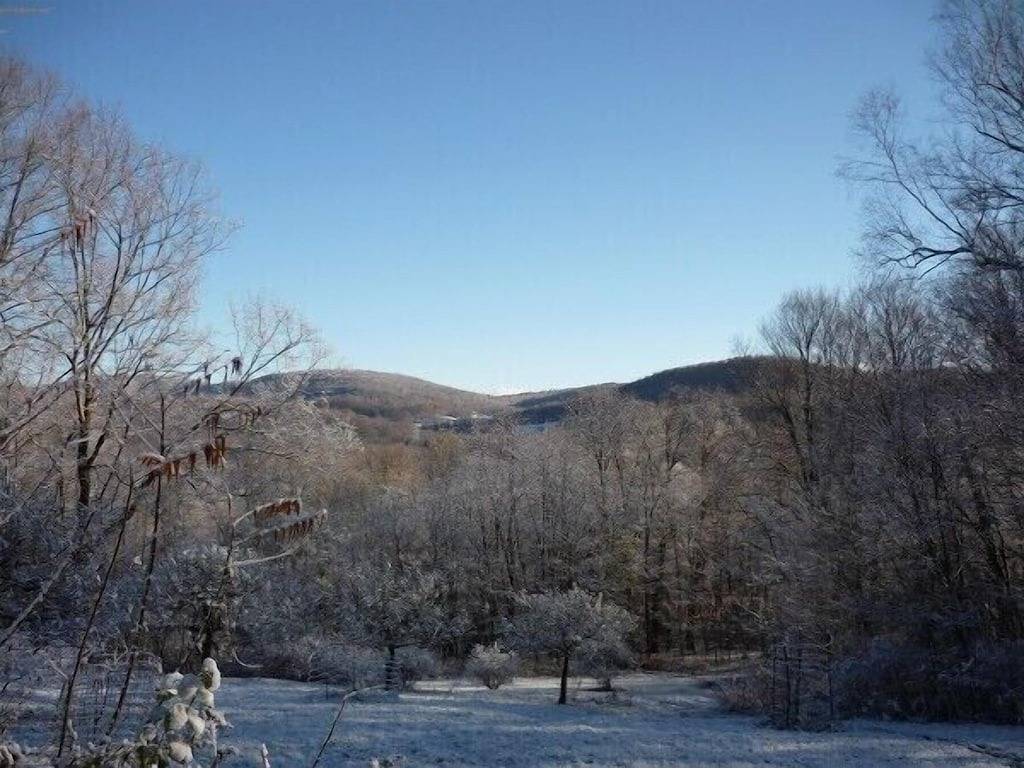 Private und künstlerische Blockhütte, bringen Sie Ihre Haustiere mit und genießen Sie das Beste aus Vermont in Rutland County