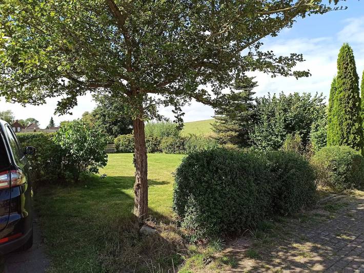 Ferienhaus für 5 Personen, mit Garten und Terrasse, kinderfreundlich in Jemgum - 3