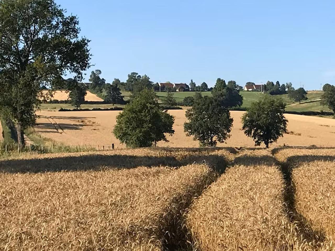 Charmante Gîte in der Nähe des Badesees in Lapeyrouse, Riom und Umgebung