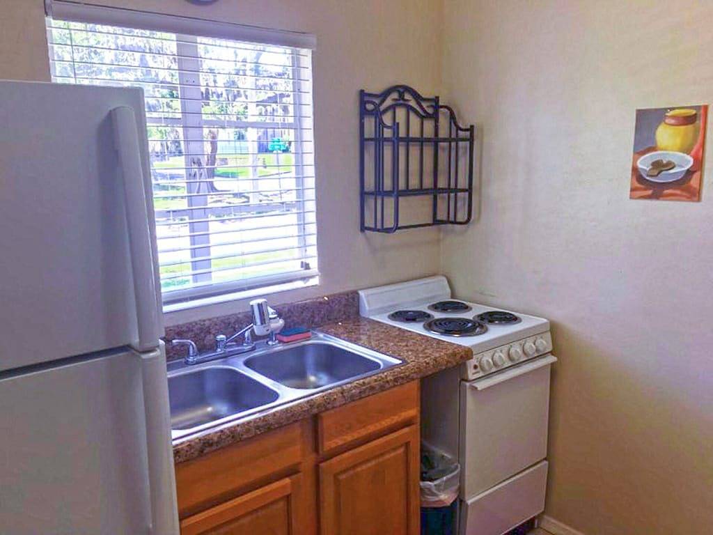 \"Unter den Palmen\" von Downtown Mount Dora in Mount Dora, Lake County