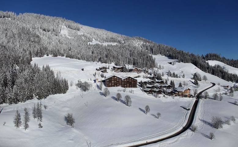 Ganze Ferienwohnung, Appartement/Fewo, Bad, Wc, 1 Schlafraum in Hochkönigstock, Mühlbach am Hochkönig