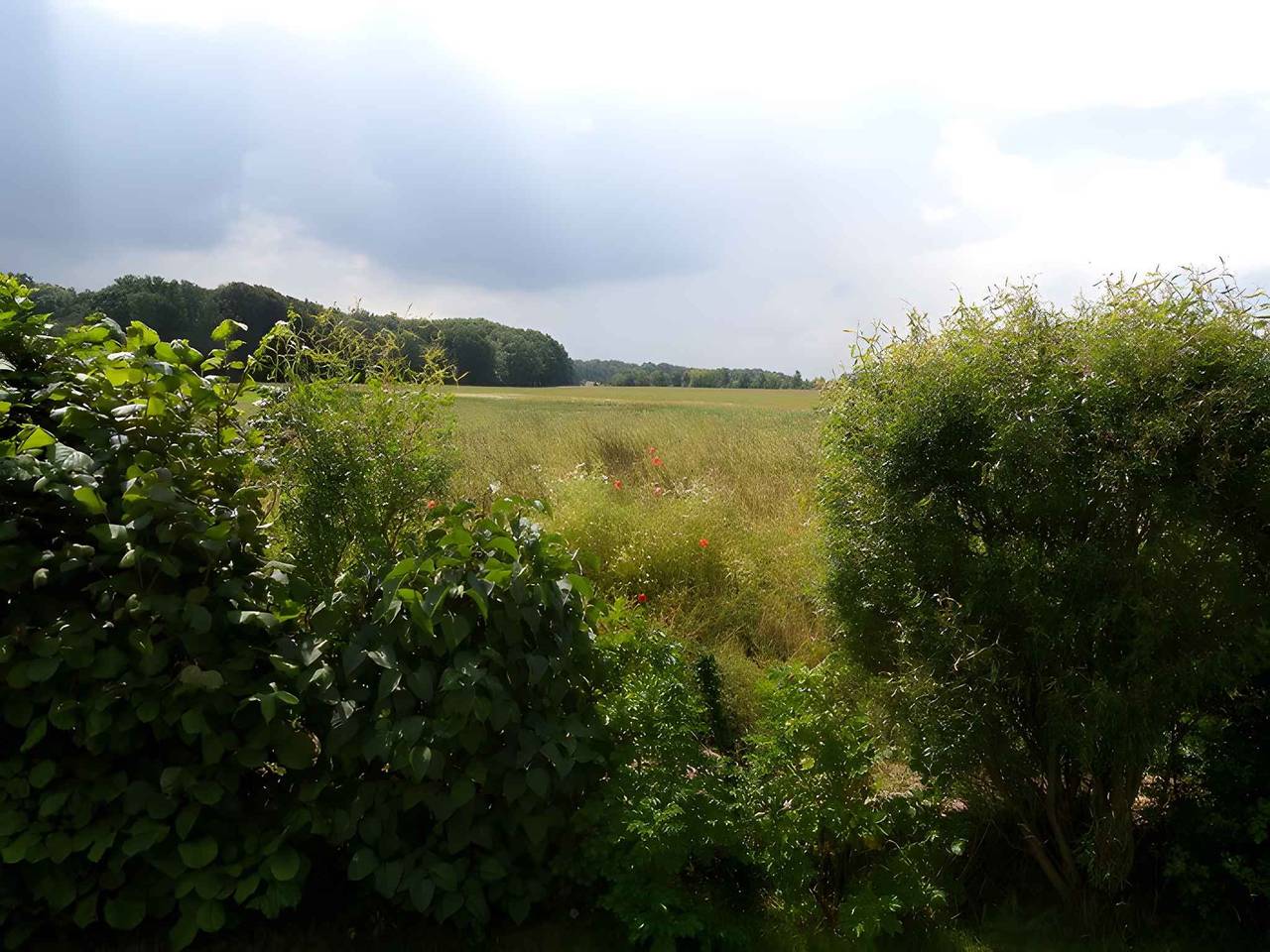 Ganze Ferienwohnung, Ferienwohnung mit Garten, direkt im Kranichrastgebiet  in Klausdorf, Stralsund Umland