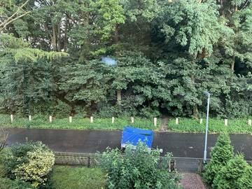 Vakantiewoning voor 4 Personen in Wesel, Ruhrgebied, Afbeelding 4