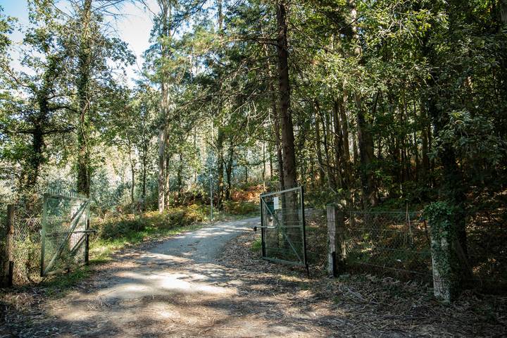 Casa de vacaciones para 6 personas, con jardín, Se admiten mascotas en Provincia de Pontevedra - 4