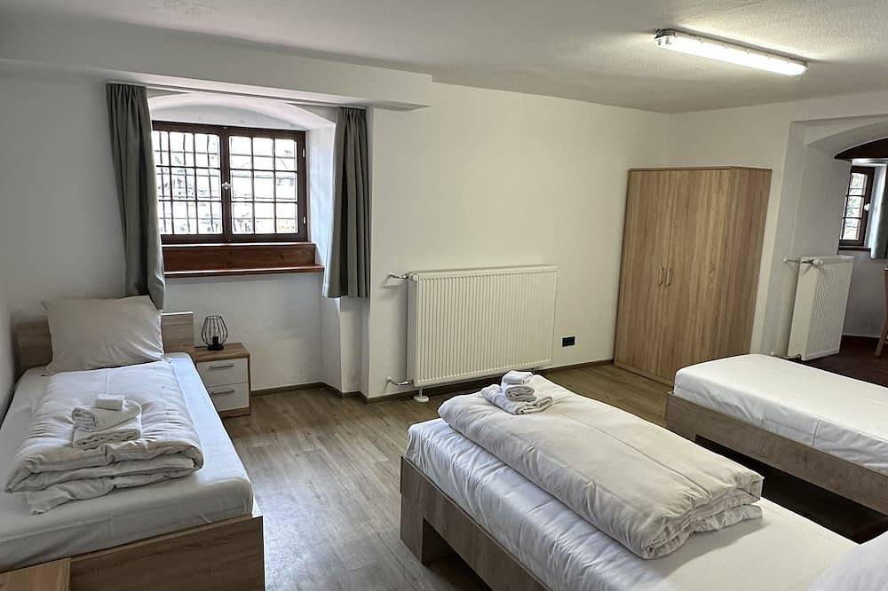 Ganze Wohnung, Garden level apartment in the historic castle in Aschaffenburg, Spessart