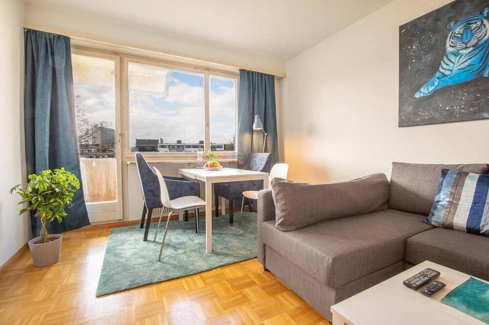 Apartamento entero, Special *Blue Tiger* Apartment in Basilea, Aargau-Basel