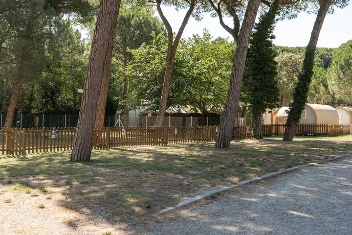 Location de vacances pour 4 personnes, avec piscine et jardin, animaux acceptés à Marina di Ravenna - 2
