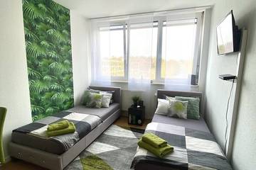 Ferienwohnung für 2 Personen, mit Balkon, mit Haustier in Mainz