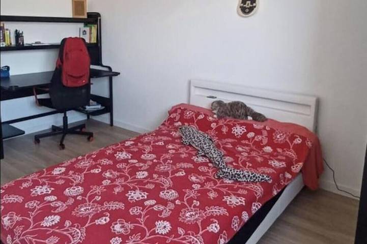 Quiet modern villa with swimming pool, 2 minutes from bus stop in Colomiers, Toulouse region