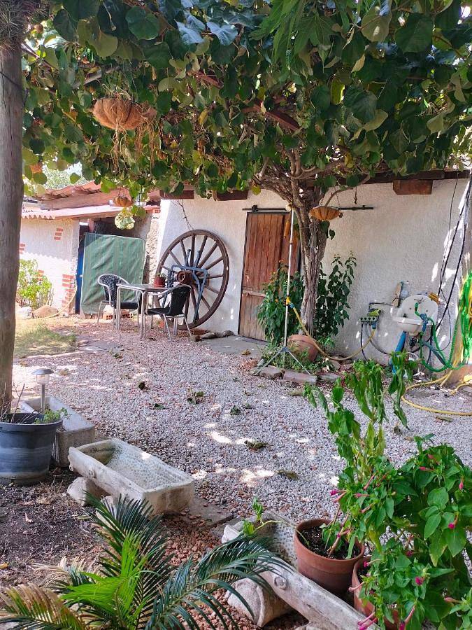Gîte pour 2 personnes, avec vue et jardin, animaux acceptés à Maureillas-las-Illas - 2