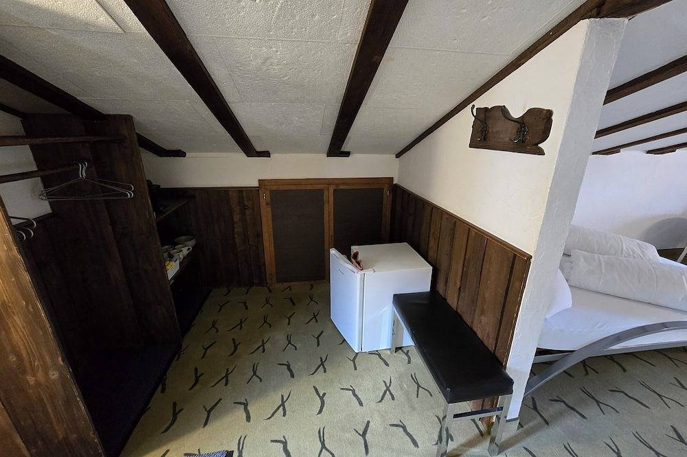 Ganze Wohnung, Charming Louisa Roof in den Schweizer Bergen in Sedrun, Tujetsch