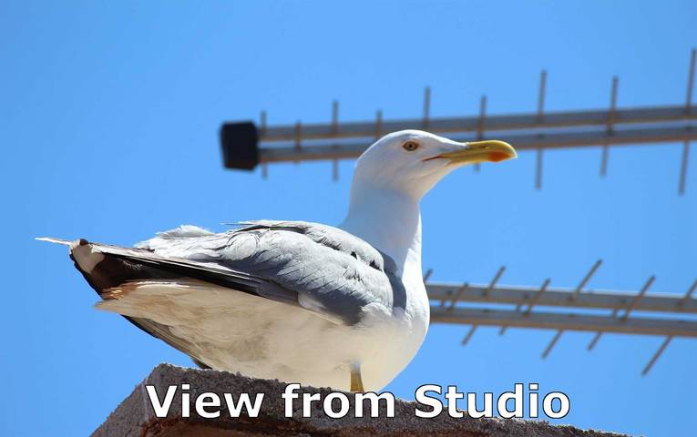Estudio entero, Estudio para 2 personas con balcón/terraza in Rovinj (Istria), Rovinj