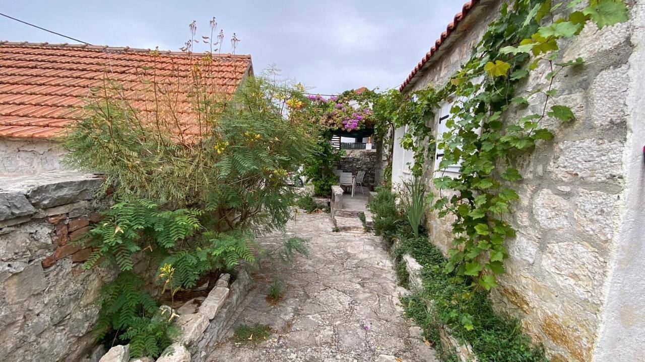 Villa rustica bougainvillea in Maslinica, Šolta