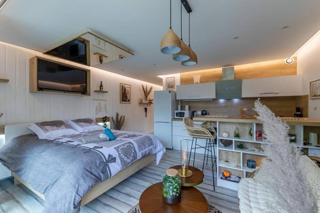 Appartement entier, Le Quintessence: Balnéo & Luminothérapie + parking in Voiron, Isère
