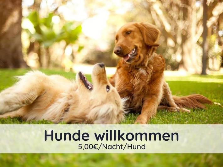 Ferienhaus für 5 Personen, mit Balkon und Terrasse sowie Garten in Walkenried - 2