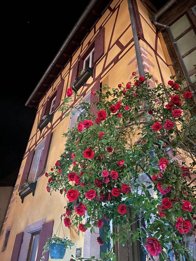 Double Room with Private Bathroom in Riquewihr, Parc naturel régional des Ballons des Vosges
