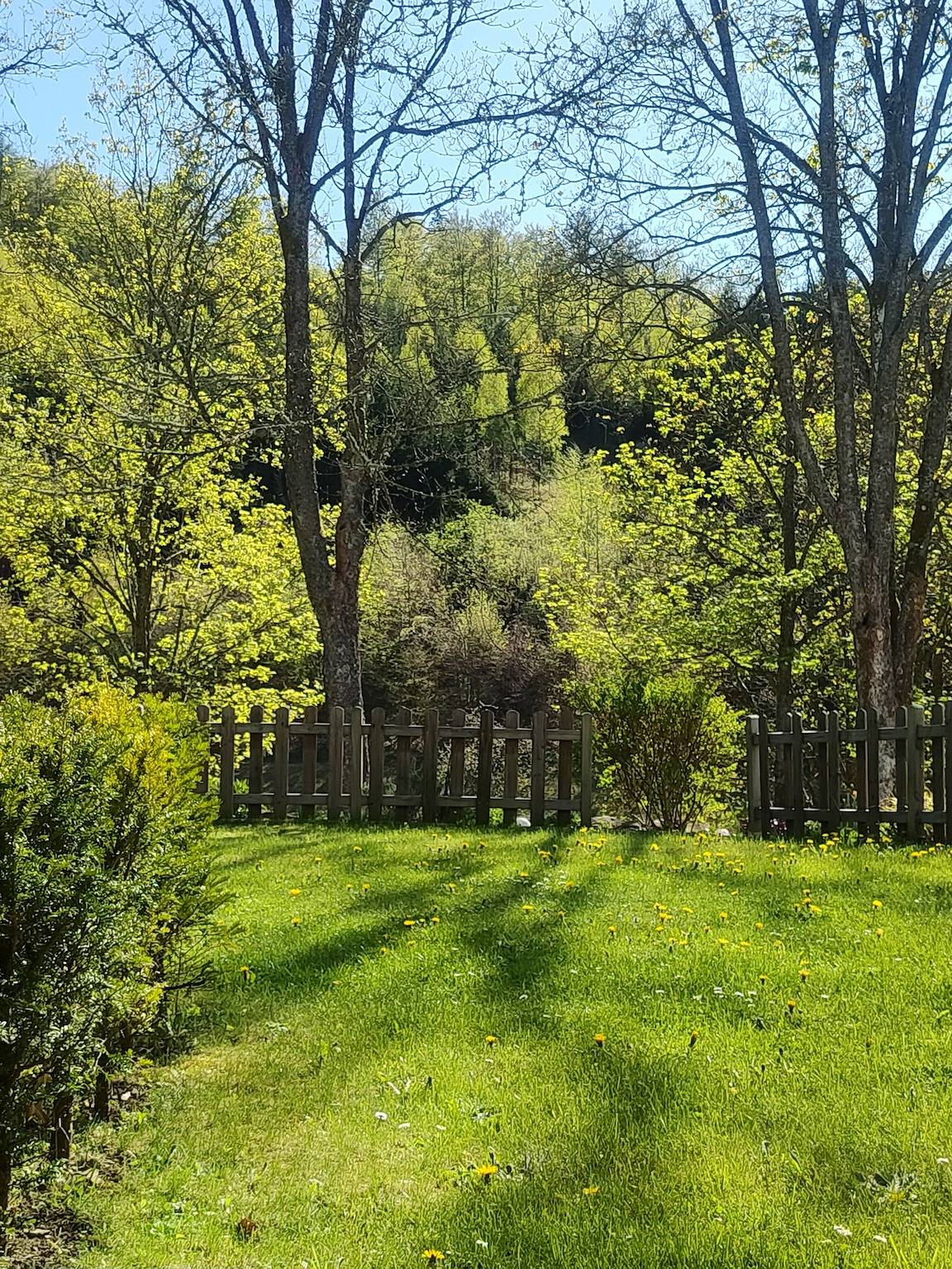 Ganze Wohnung, Apartment „Bachlauf und Waldblick Stünzel“ mit Gemeinschaftsterrasse, privatem Garten & Wlan in Schmallenberg, Hochsauerlandkreis