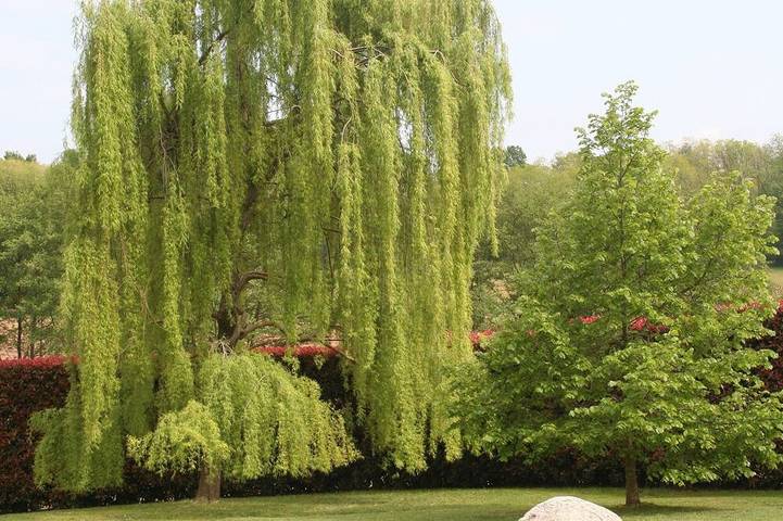 Agriturismo für 4 Personen, mit Garten in Norditalien - 4