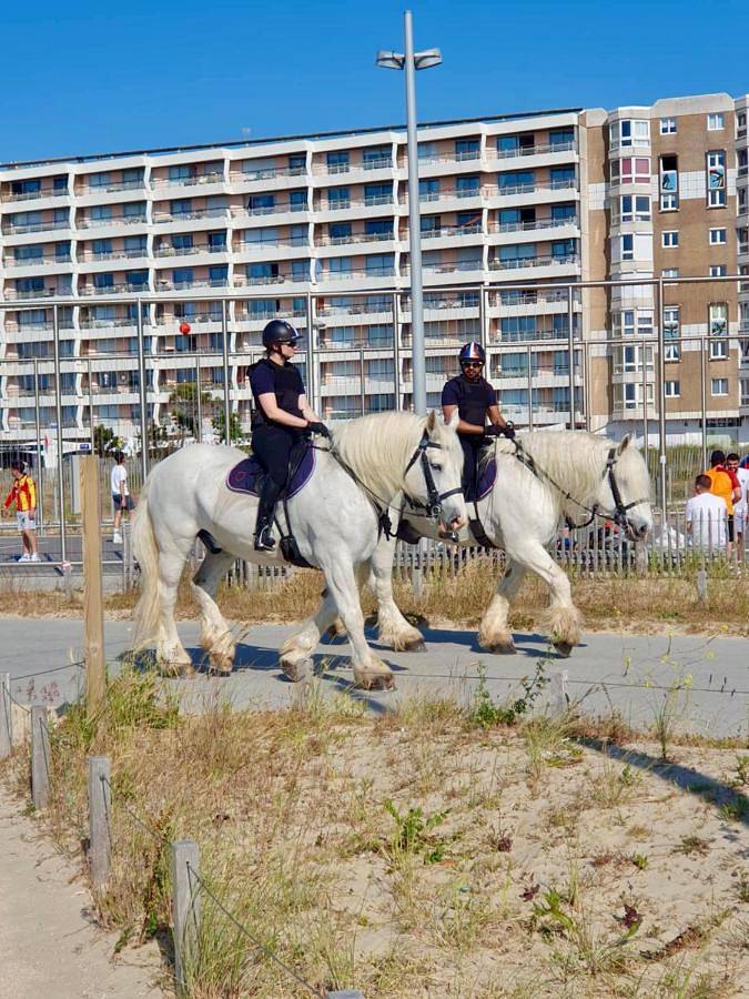 Chambre d’hôte pour 2 personnes, avec terrasse à Calais - 2