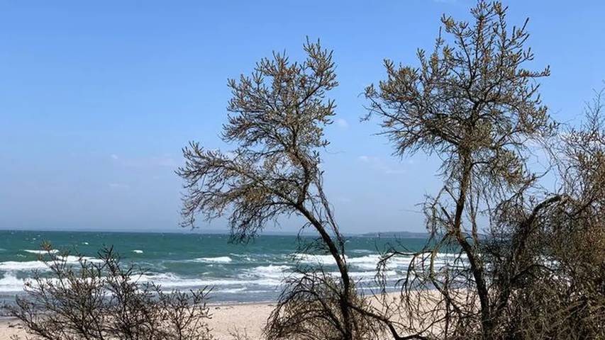 Hütte für 4 Personen, mit Balkon in Scharbeutz - 3
