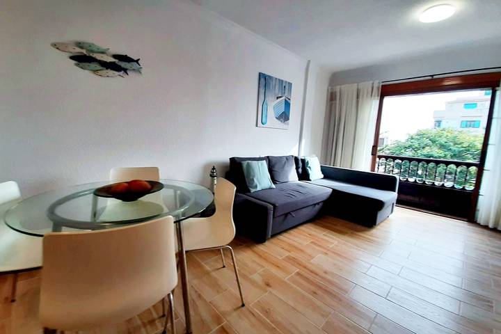 Gîte pour 4 personnes dans Las Galletas - 2