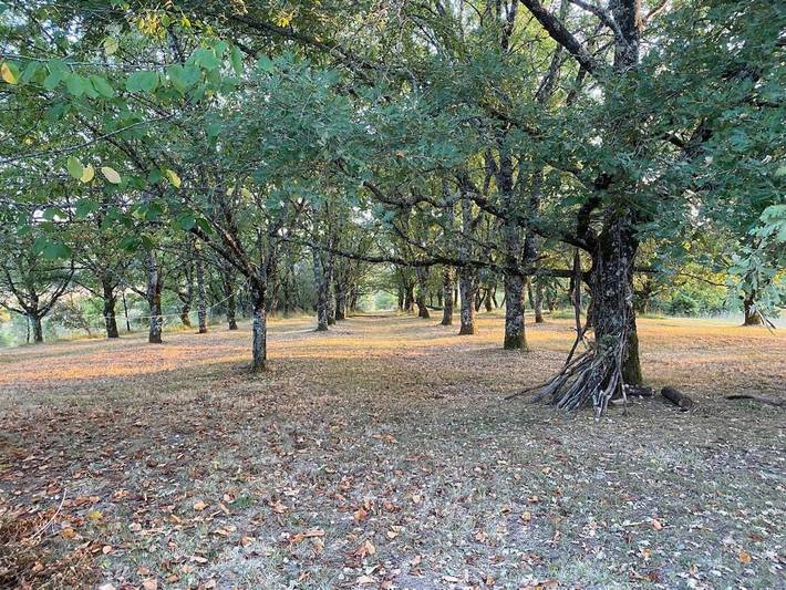 Location de vacances pour 10 personnes, avec vue ainsi que jardin et piscine à Villars (Aquitaine) - 3