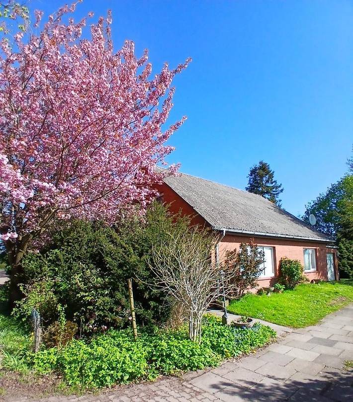 Ferienhaus für 6 Personen, mit Garten und Ausblick in Belum