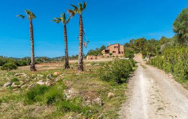Finca in Manacor, Mallorca Osten für 12 