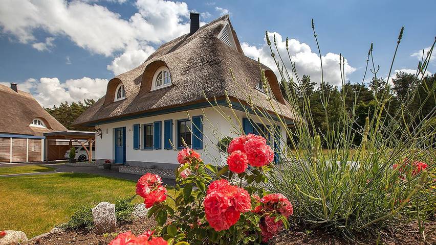 Ferienhaus für 6 Personen, mit Terrasse und Sauna, mit Haustier - 1