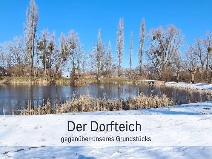 Ferienwohnung für 3 Personen, mit Garten, kinderfreundlich in Ballenstedt