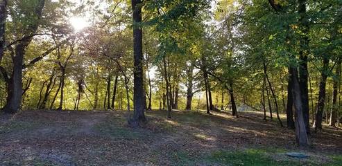 Log Cabin for 4 Guests in Iowa, USA, Picture 1